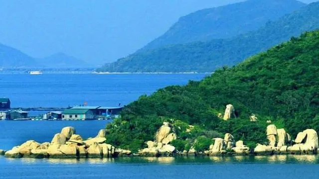 Cách nấu bữa tối nhanh cho dân văn phòng bận rộn