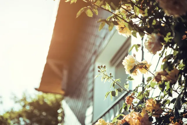 Cùng chủ đầu tư Tiến Phước kiến tạo xu hướng sống đương đại trong lòng Sài Gòn