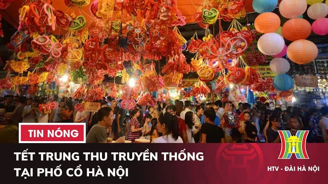 Tết Hà Nội đi đâu? Top 20 địa điểm chơi Tết 2026