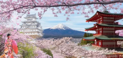 Bật mí các ngành nên du học tại Nhật Bản năm 2023