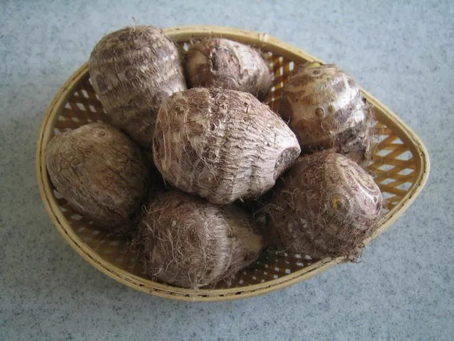 Thực đơn ăn dặm kiểu Nhật cực bổ dưỡng cho con bạn