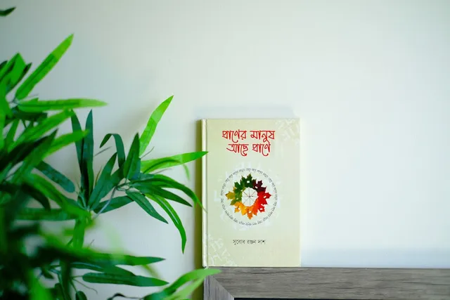 Chuyên gia nghiên cứu phong thủy