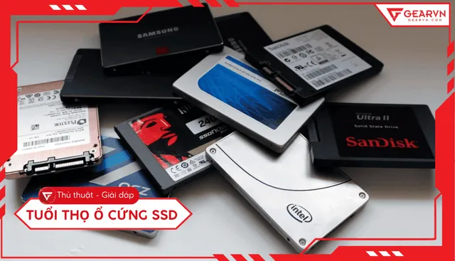 SSD sử dụng được bao lâu - Tính toán tuổi thọ và cách kiểm tra chính xác