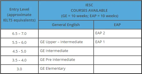 Lộ trình học tiếng Anh cho sinh viên: Chiến lược tiết kiệm và hiệu quả nhất
