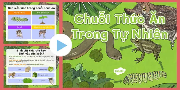 Loi kin ang vn chuyn thc n trong t nhin