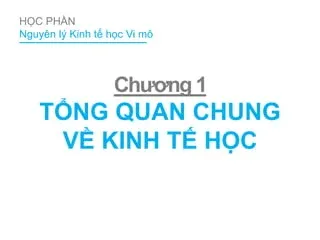 Tng quan v kinh t hc