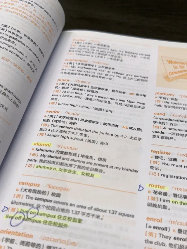 ielts-writing-band-7-study