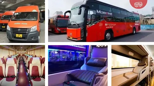 Kinh nghiệm đặt vé xe Phương Trang: Cập nhật giá 2026