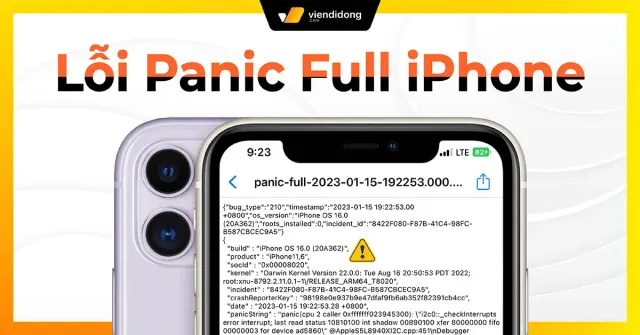 Lỗi Panic Full iPhone là gì? Nguyên nhân và cách sửa