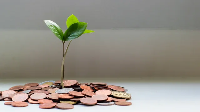 Tự do tài chính là gì? Lộ trình xây dựng
