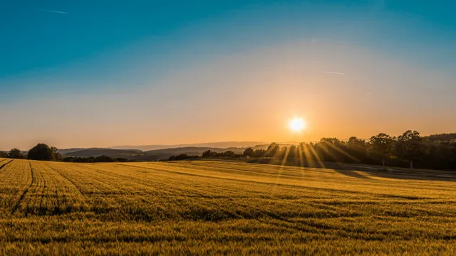 Central Valley California: Khám phá vùng đất nông nghiệp