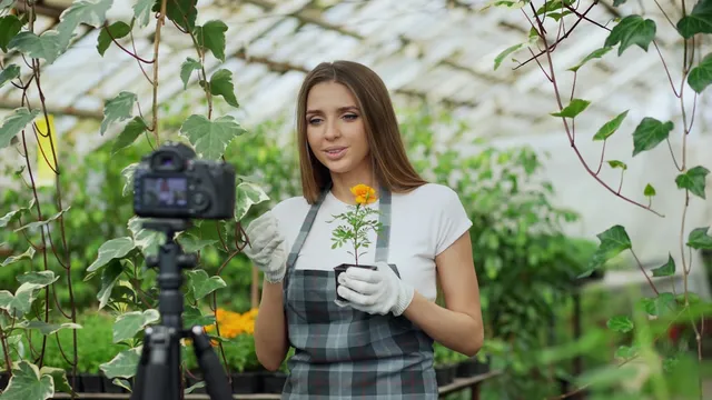 Chia sẻ kiến thức và học tập