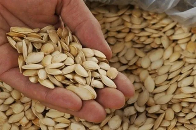 Hạt bí có tác dụng gì cho sắc đẹp và sức khỏe làng da?