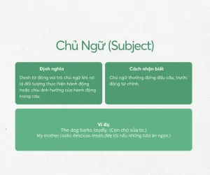 Danh từ tiếng Anh: Kiến thức nền tảng cần nắm vững