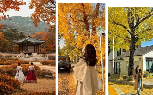 Mặc gì khi du lịch Đông Á mùa thu: gợi ý dễ mặc