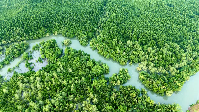 Du lịch Thiềng Liềng Cần Giờ: trải nghiệm bình yên giữa biển