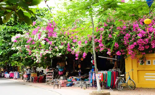Du lịch Hội An: trải nghiệm mua sắm và quà lưu niệm hay