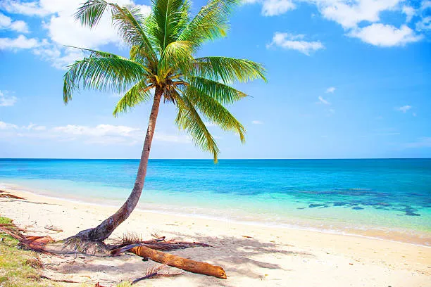 beach-sun-protection