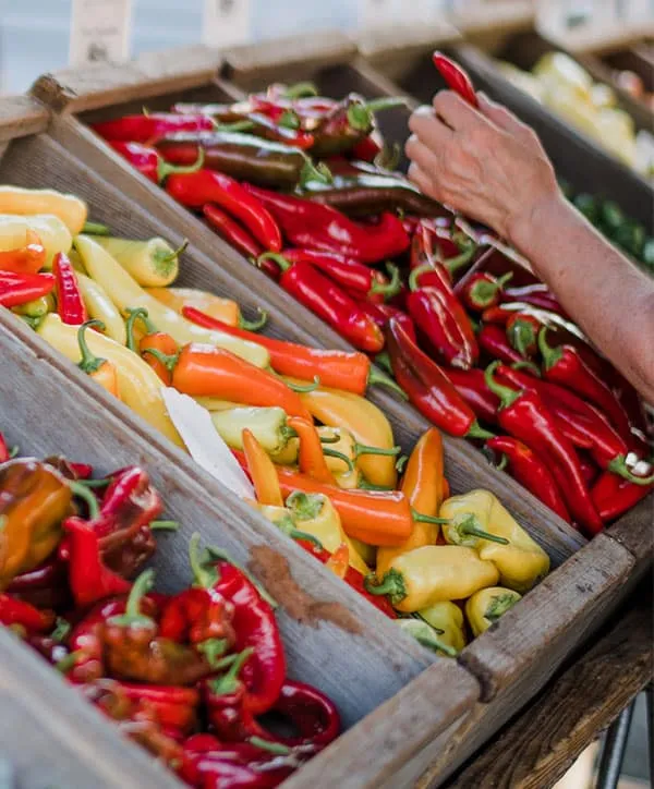 vegetable-supplier-delivery-kuala-lumpur
