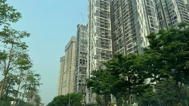 ccca9e25-9653-4fcf-a206-caa7eea77b97