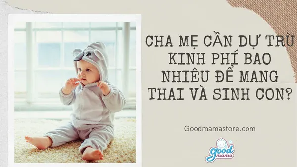 d_tru_kinh_phi_sinh_con_600x600