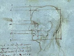 250px-Proportions_of_the_Head
