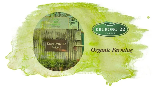 Krubong_22_organic_farm_with_green_color_mark_b175dfd0-219d-4673-9e35-4cfdddcb48bf