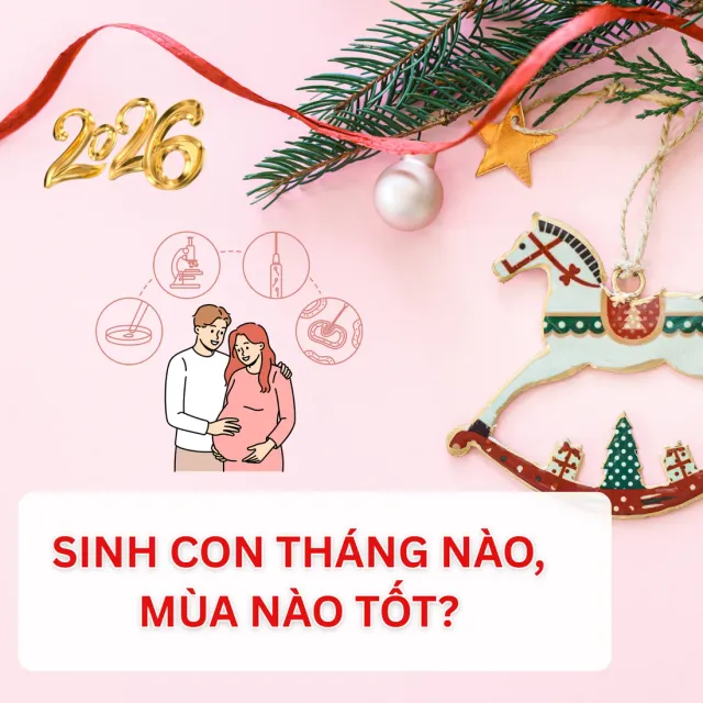Sinh con năm 2026 tháng nào tốt nhất? Bí quyết cho mẹ bầu