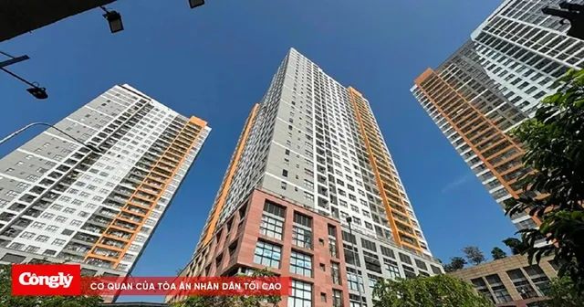 Cho thuê căn hộ chung cư TP.HCM: Giá thuê và cách chọn