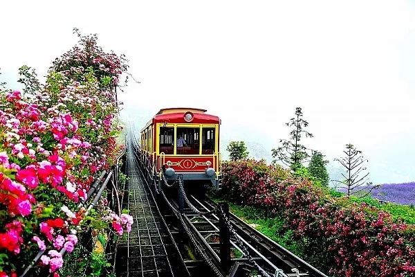 5+ Địa điểm chụp hình đẹp ở Sapa không thể bỏ lỡ