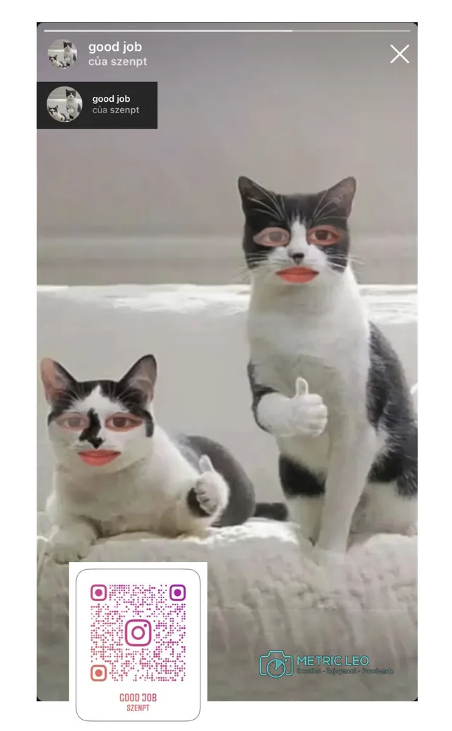 Những filter chụp hình bằng instagram hài hước vui nhộn dành cho hội bạn bè thân