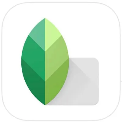 Snapseed và công thức màu vintage không thể bỏ qua