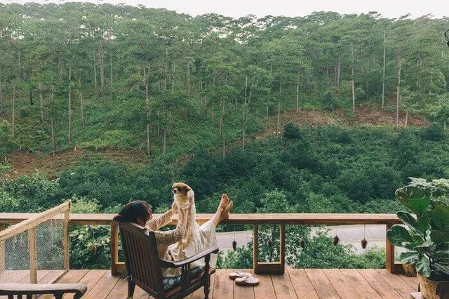 Lưu ngay 5+ quán cafe đẹp ở Đà Lạt siêu xịn sò để sống ảo