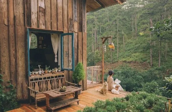 Thoả sức check in view chụp ảnh đẹp lung linh tại Đà Lạt