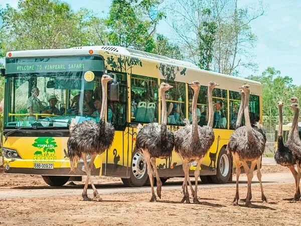 5+ Địa điểm check in Phú Quốc cực đẹp cho mùa hè này
