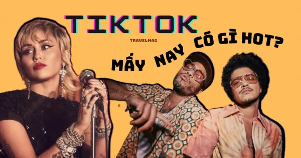 Các xu hướng nội dung Tiktok hàng đầu giúp bạn có lượng người xem ổn định