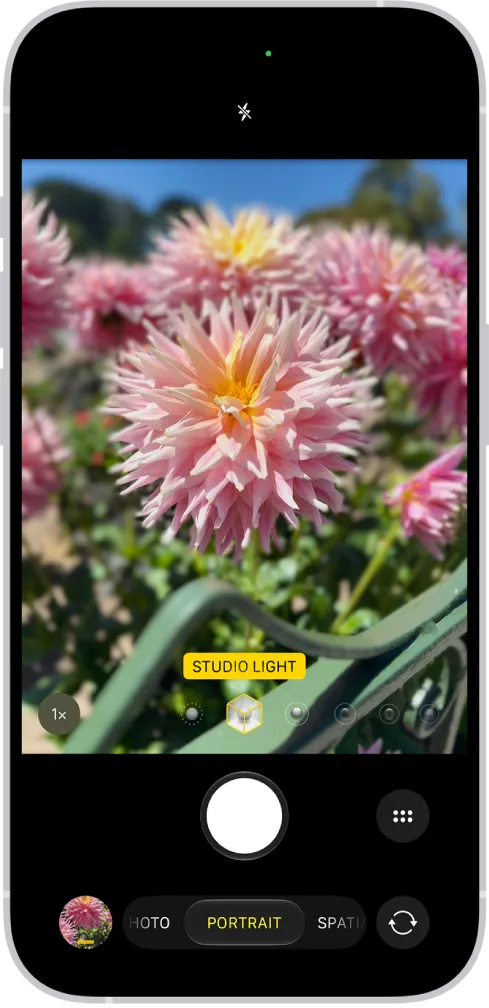 Chụp ảnh chân dung đẹp trên iPhone: Hướng dẫn chính thức Apple
