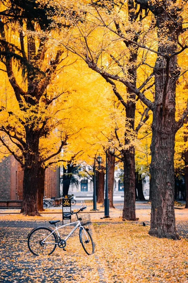 5 Xu Hướng Du Lịch Wellbeing 2026: Từ Literary Tourism Đến Nostalgic Travel