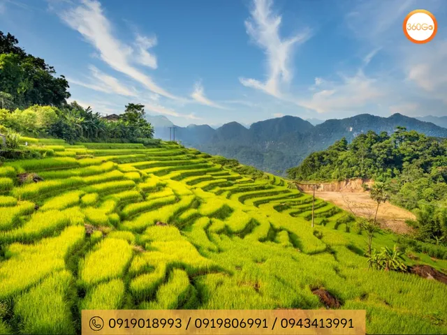 ruong-bac-thang-tai-pu-luong-thanh-hoa-dulich360go