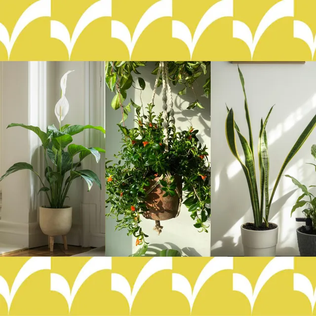 Những địa điểm chụp ảnh cưới đẹp như mơ các cặp đôi không nên bỏ qua