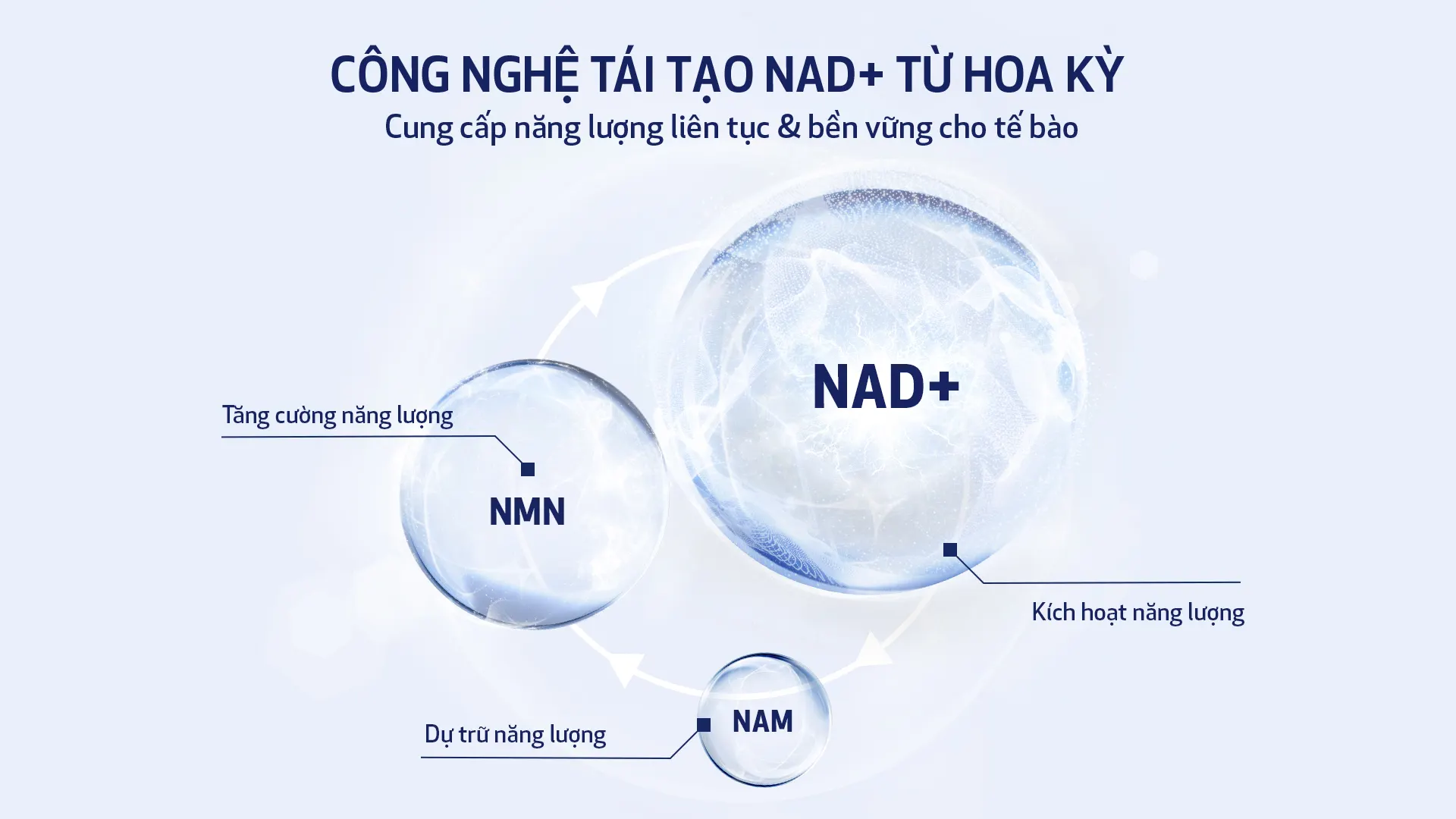 Công nghệ NAD+ độc quyền của Obagi trong dòng sản phẩm trẻ hóa da thế hệ mới - nguồn từ ELLE Vietnam