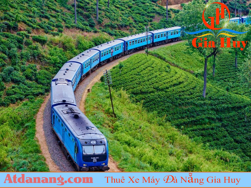 Đĩa cơm gà Đà Nẵng với thịt gà xé, cơm vàng nghệ và nước chấm gừng