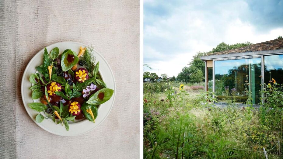 Nhà hàng Noma – biểu tượng của xu hướng ẩm thực bền vững và nguyên liệu bản địa tại fine dining 2026