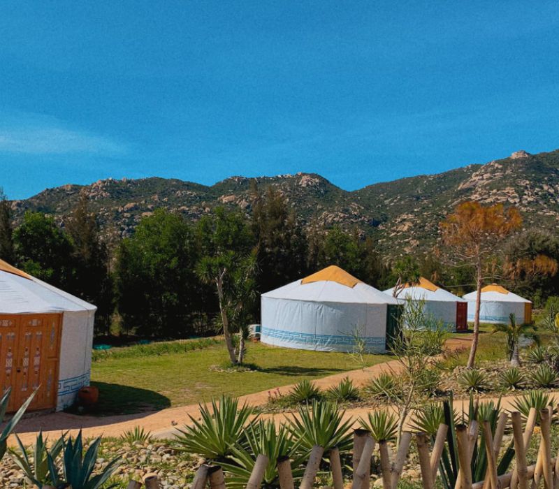 Tanyoli Glamping Ninh Thuận — lều Mông Cổ trắng giữa đồi cừu độc đáo