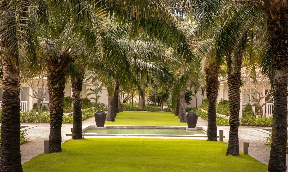 Đường phố ven biển với cây cọ – trải nghiệm ẩm thực và văn hóa địa phương - nguồn từ VnExpress