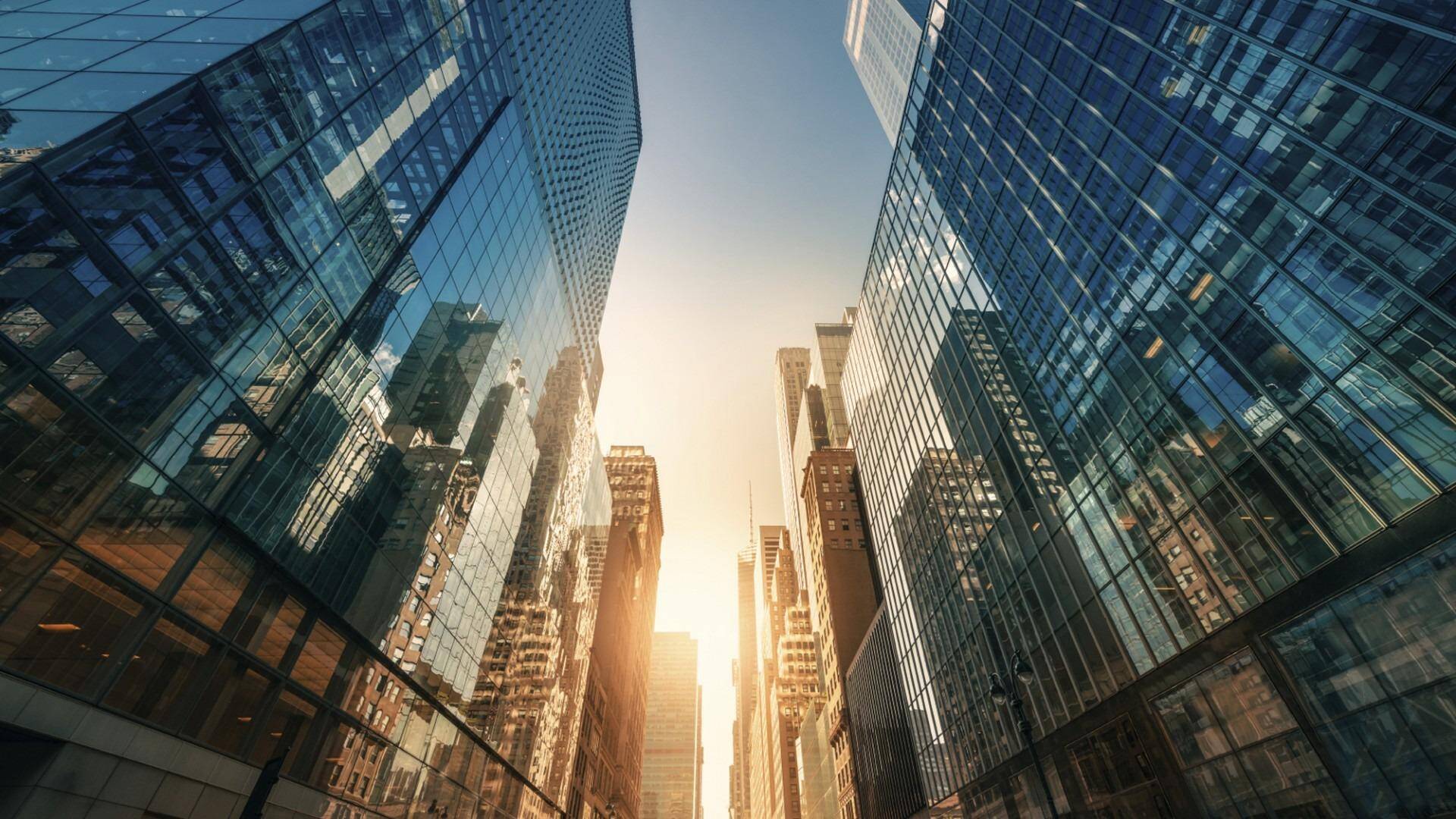 Vật liệu bền vững - gỗ công nghiệp, đồng thau, tái chế - nguồn từ Tiền Phong