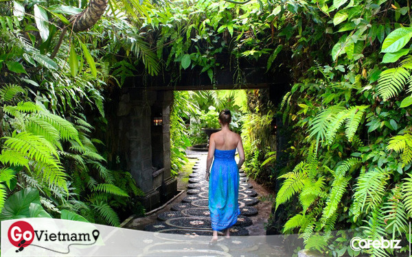 Du lịch sức khỏe và wellness tại Việt Nam – tăng trưởng mạnh đến 2026