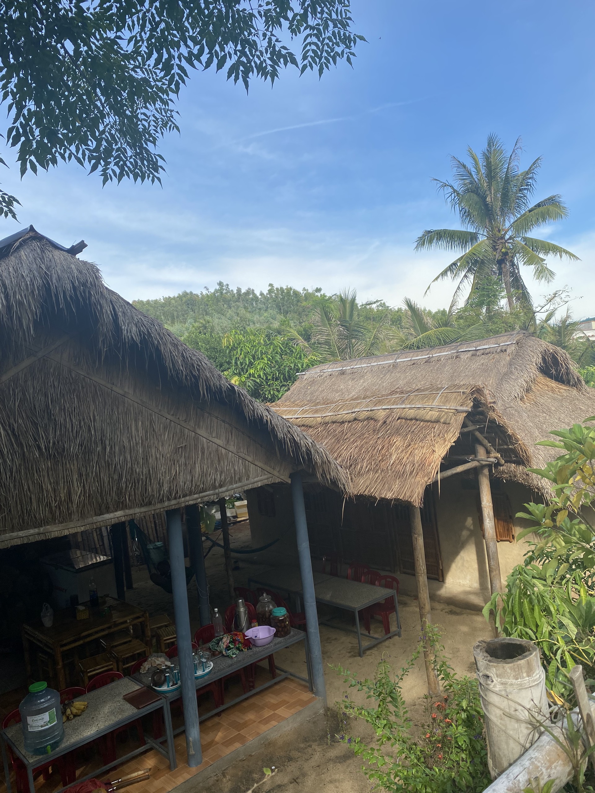 Không gian phòng Scandinavian tối giản tại Pineapple Homestay