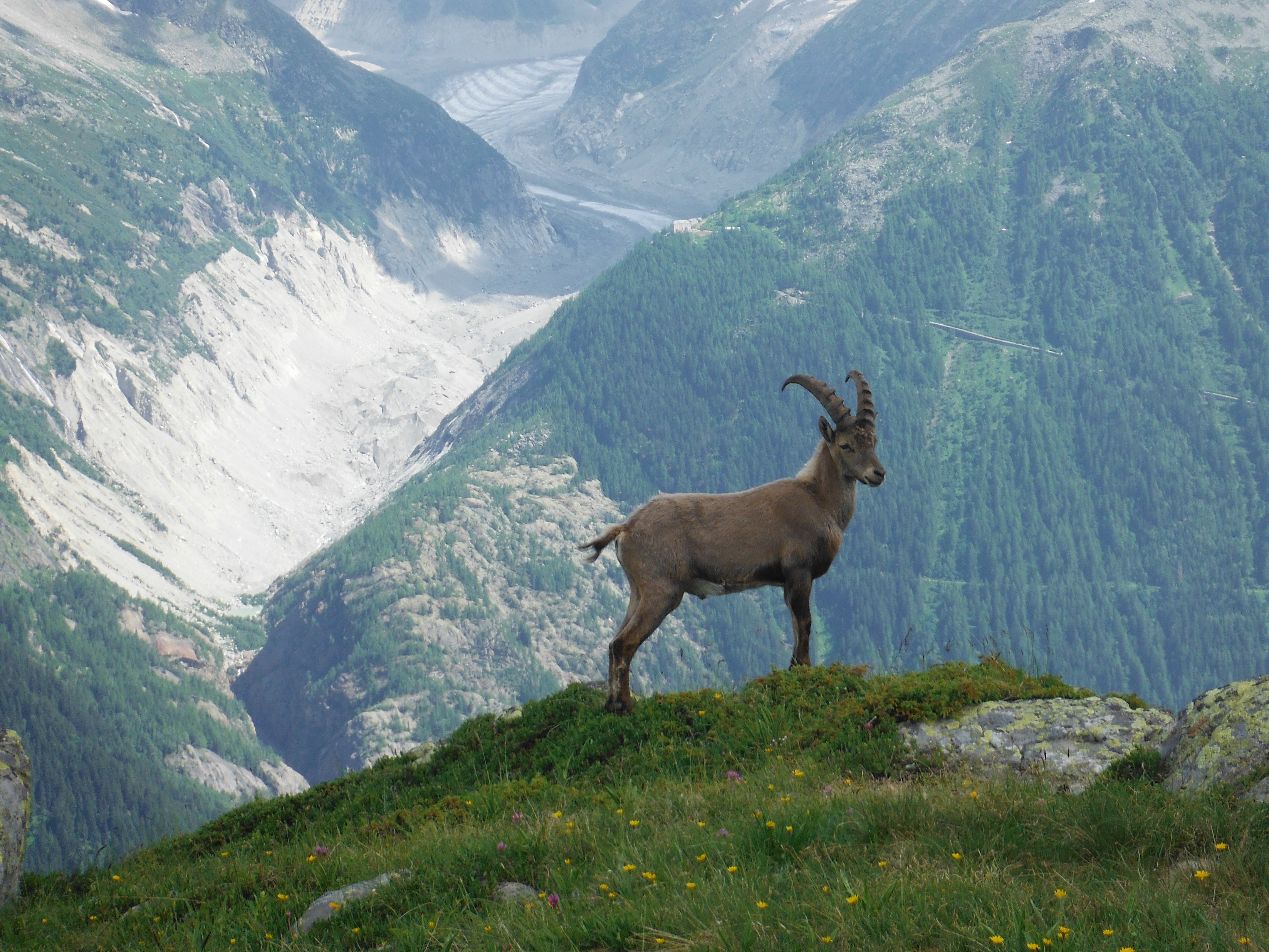 Cách chọn ngày cưới kết hợp phong thủy và kế hoạch tổ chức đám cưới