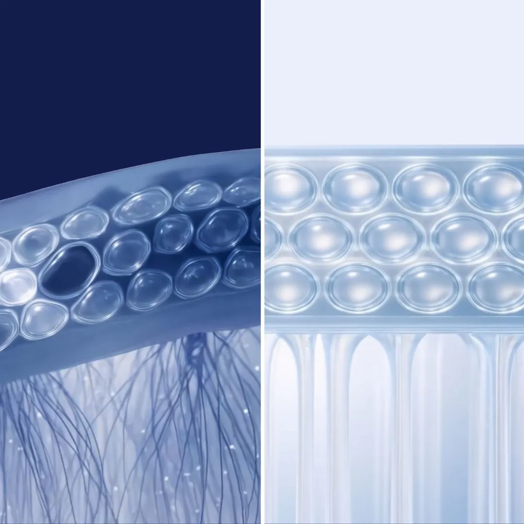 So sánh tế bào da lão hóa và tế bào da trẻ khỏe dưới tác dụng của công nghệ NAD+ - nguồn từ ELLE Vietnam